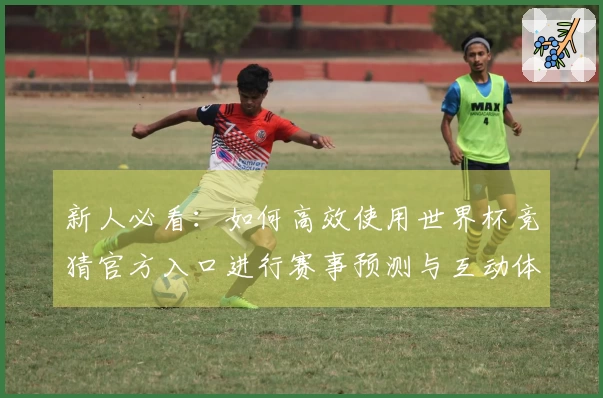新人必看：如何高效使用世界杯竞猜官方入口进行赛事预测与互动体验