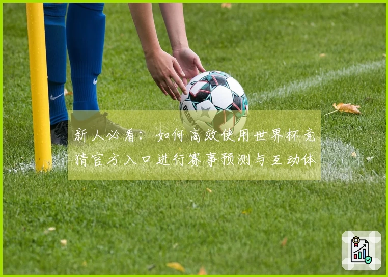 新人必看：如何高效使用世界杯竞猜官方入口进行赛事预测与互动体验