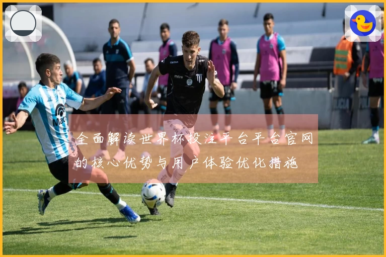 全面解读世界杯投注平台平台官网的核心优势与用户体验优化措施