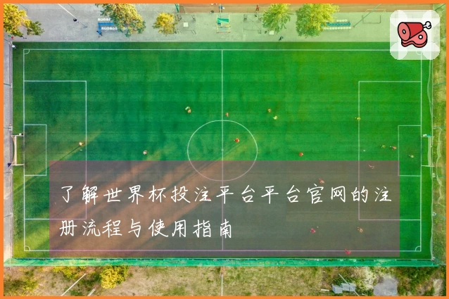了解世界杯投注平台平台官网的注册流程与使用指南
